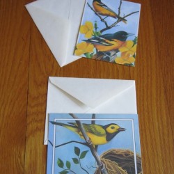 Yellow & Black Bird Notecards Stationery 2 Blank Notes Pretty! Michael Hegedus