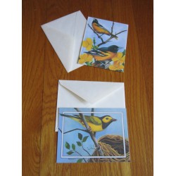 Yellow & Black Bird Notecards Stationery 2 Blank Notes Pretty! Michael Hegedus